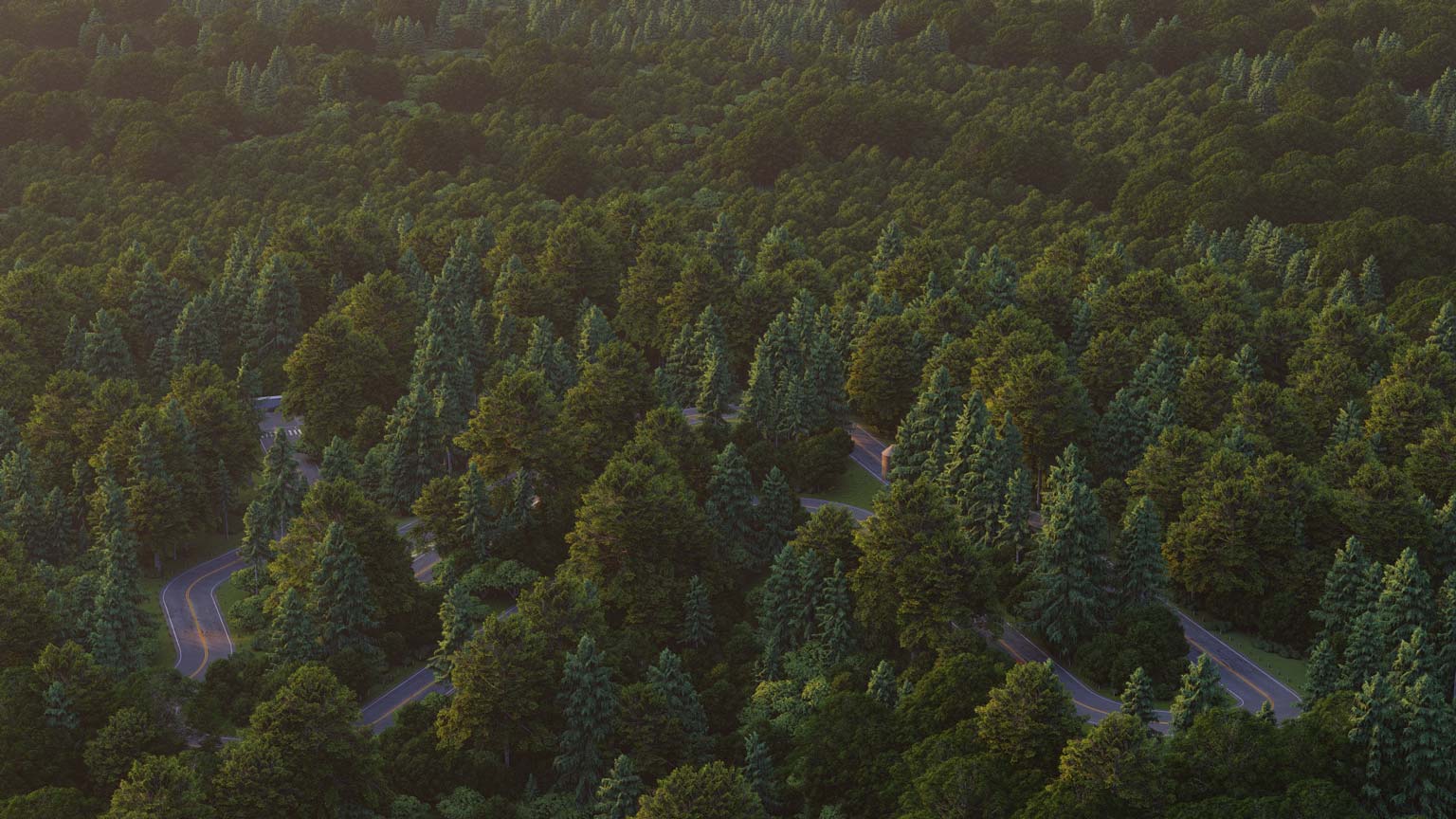 Forest-1536x864_Lumion10